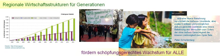 2017-02-22_ehemaliger-header-auf-twitter_regionale-wirtschaftsstrukturen-fuer-generationen_mit-schallenberg-zitat