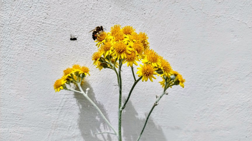 Gesucht: Maßnahmen für mehr Wohlbefinden durch mehr&nbsp;Demokratie